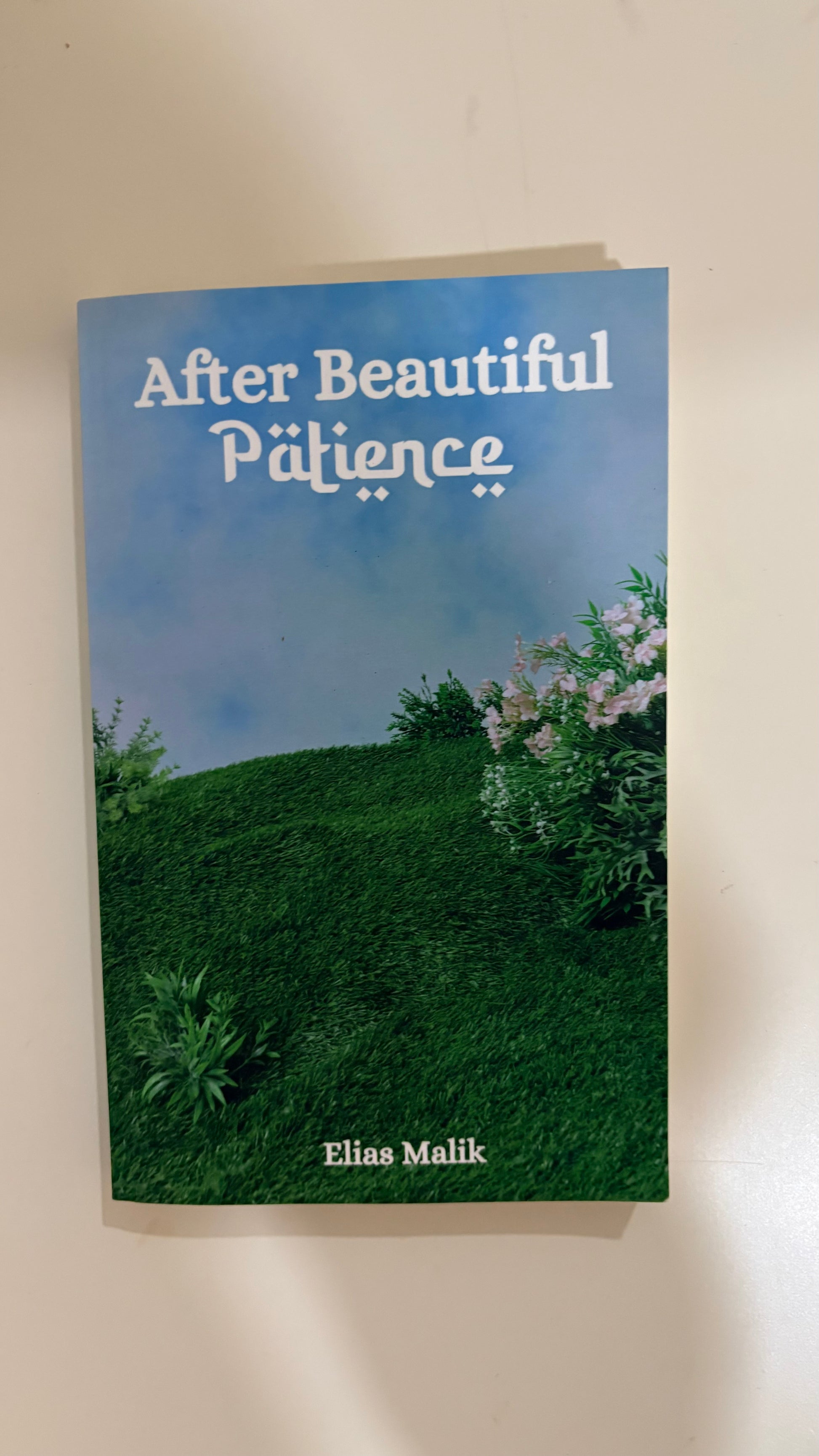 A book titled "After Beautiful Pajience" by Elias Malik, featuring a cover with a blue sky and green grassy hill, photographed against a plain light background.