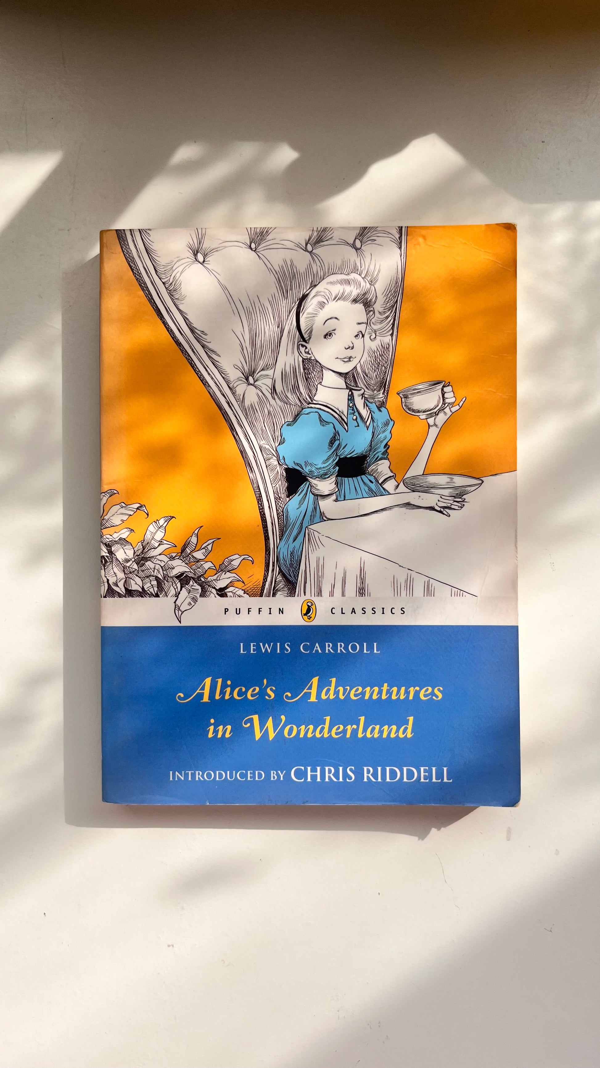 Alice’s Adventures in Wonderland by Lewis Carroll – Classic fantasy novel.