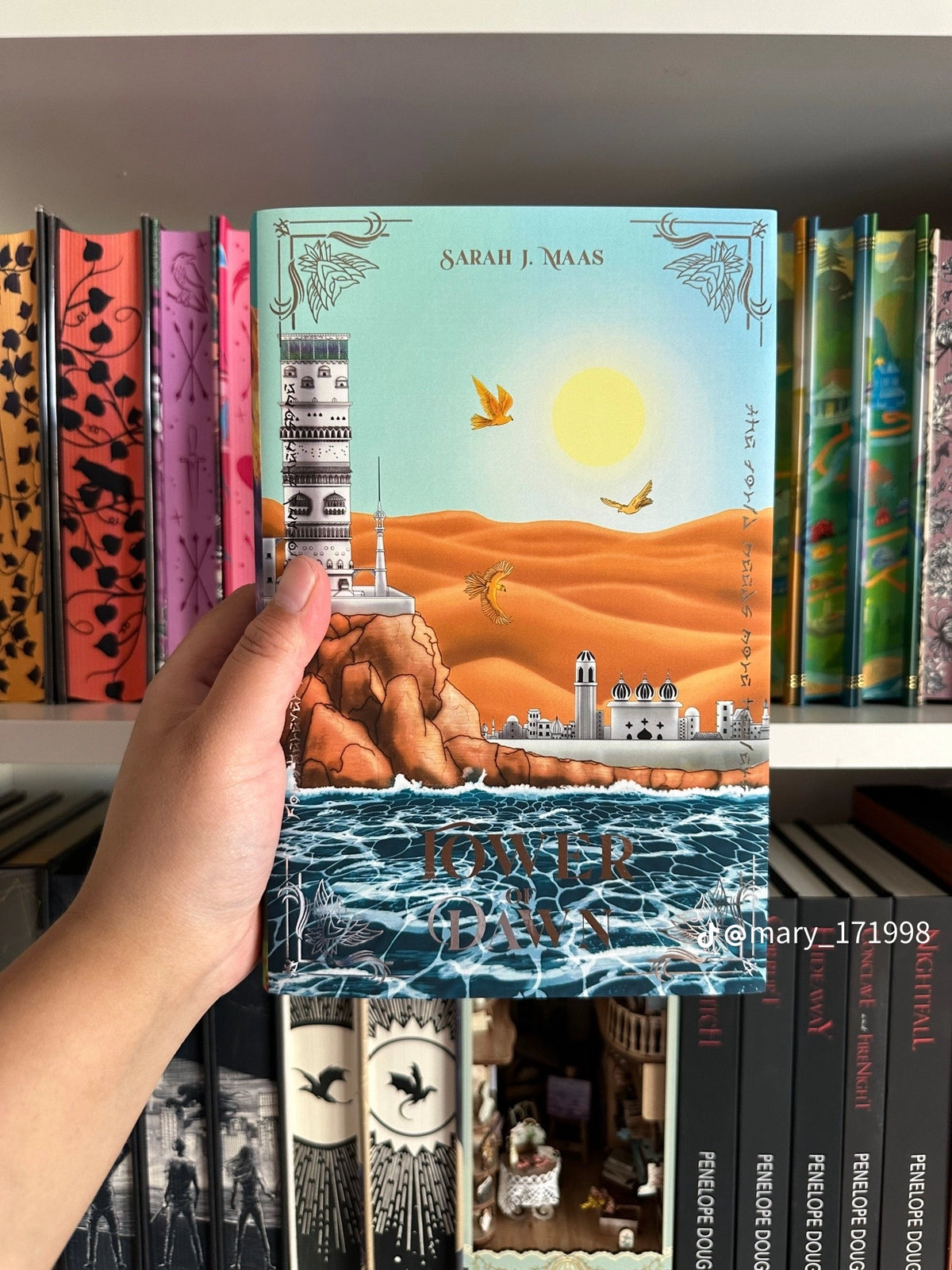 Acrylipics: Throne of Glass Series by Sarah J. Maas (Hardcover)