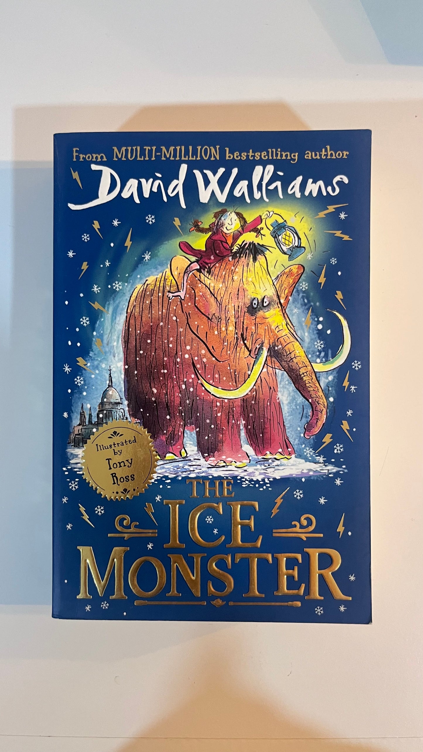 The Ice Monster by David Williams (Paperback)