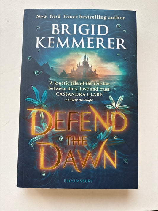 Defy the dawn by Bridgid Kemmerer (Paperback)
