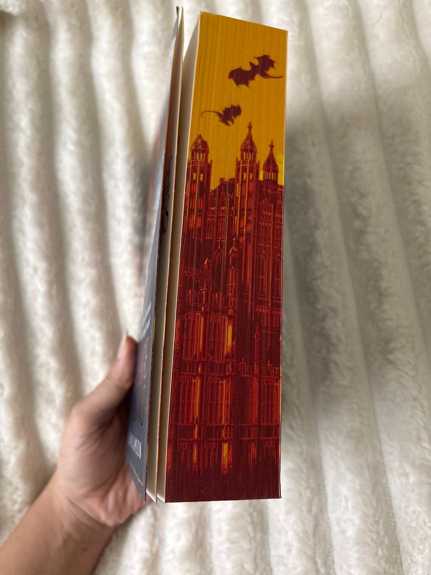 A Language Of Dragons by S.F. Williamson (Paperback)