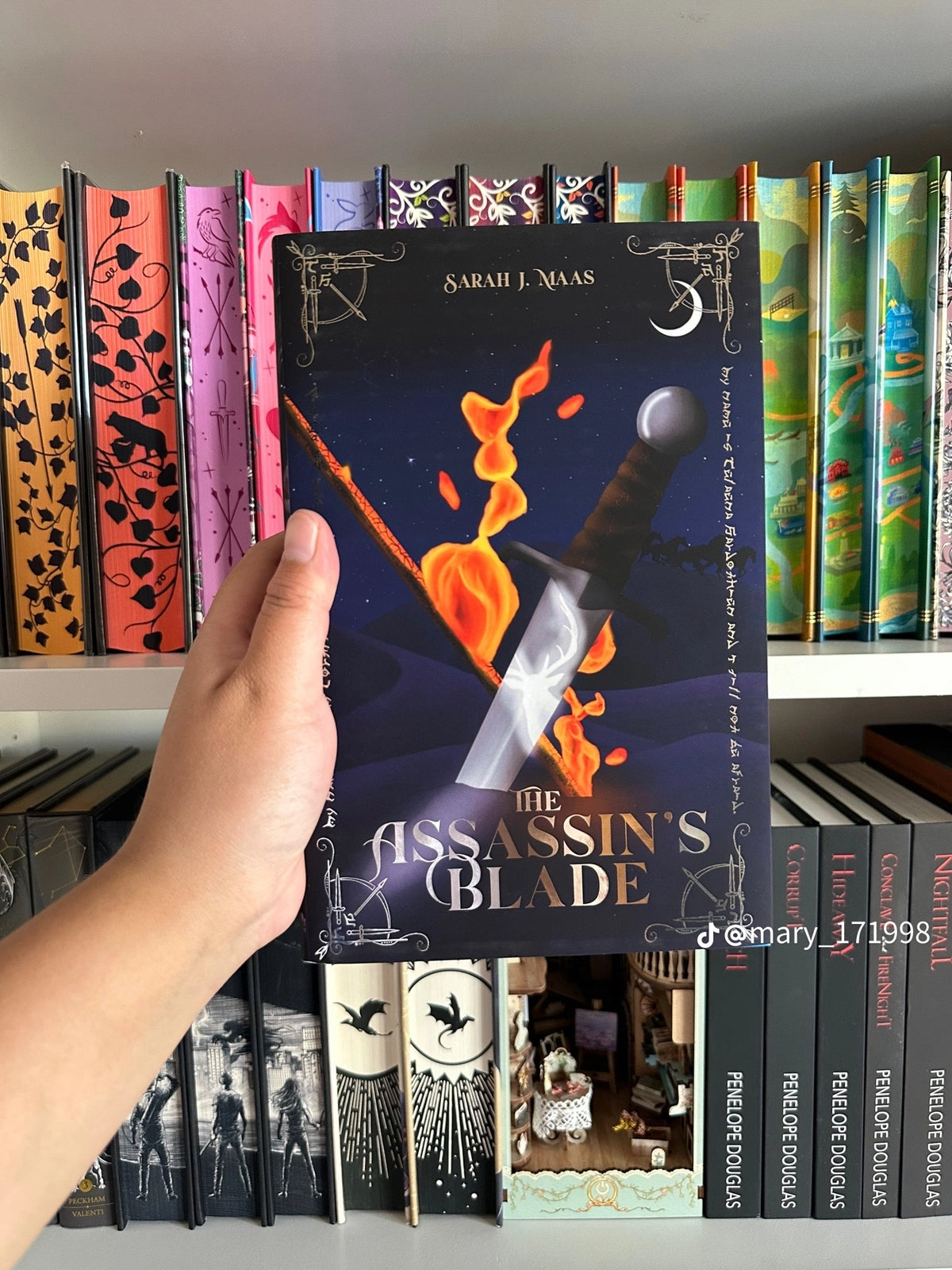 Acrylipics: Throne of Glass Series by Sarah J. Maas (Hardcover)