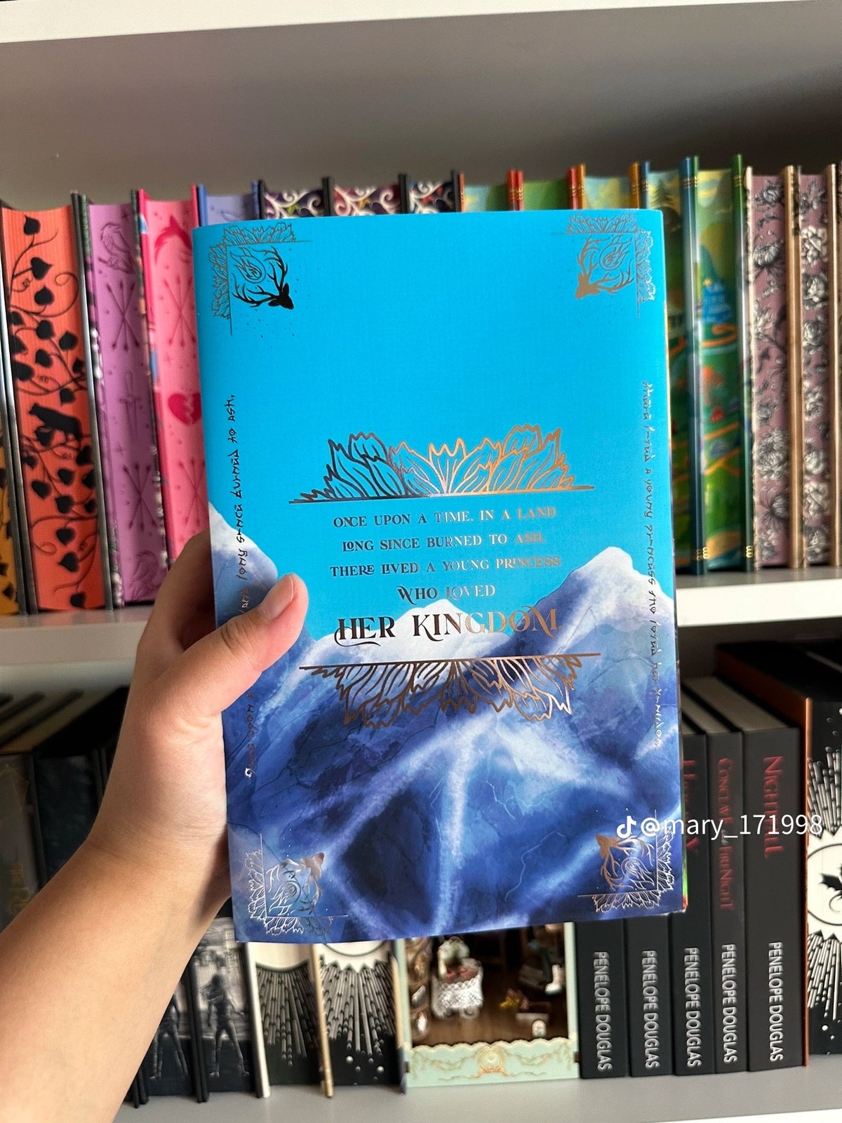 Acrylipics: Throne of Glass Series by Sarah J. Maas (Hardcover)