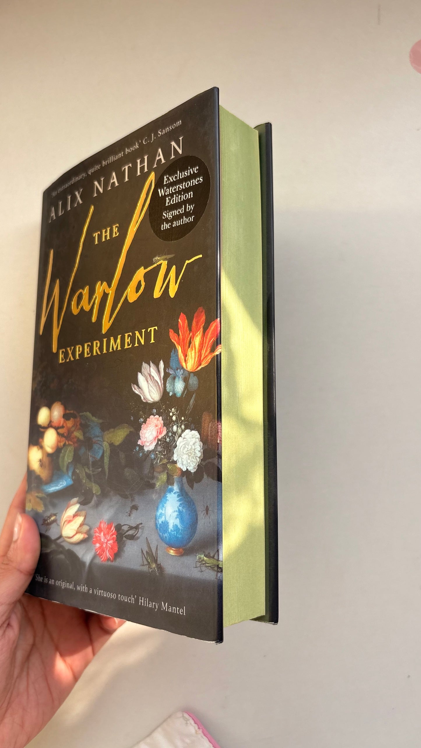 The Warlow Experiment by Alix Nathan (Hardcover)