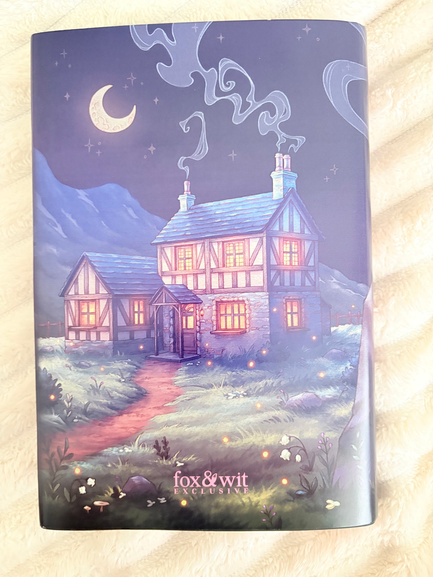 Fox and Wit : The Irresistible Urge To Fall For Your Enemy by Brigitte Knightley (Hardcover)