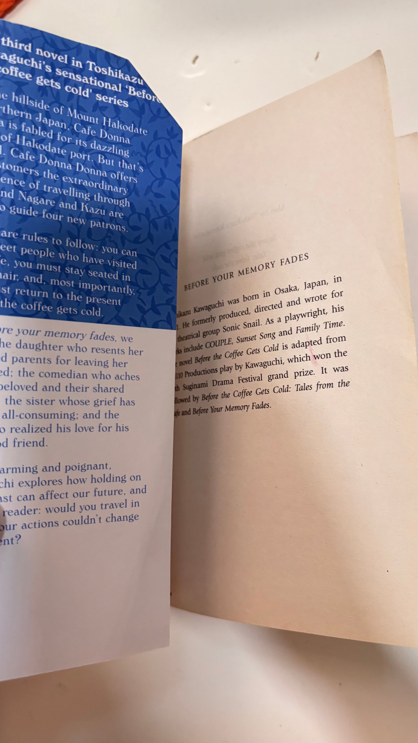 Before your memory fades by toshikazu Kawaguchi (Paperback)