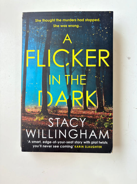 A Flicker In The Dark By Stacy Willingham (Paperback)