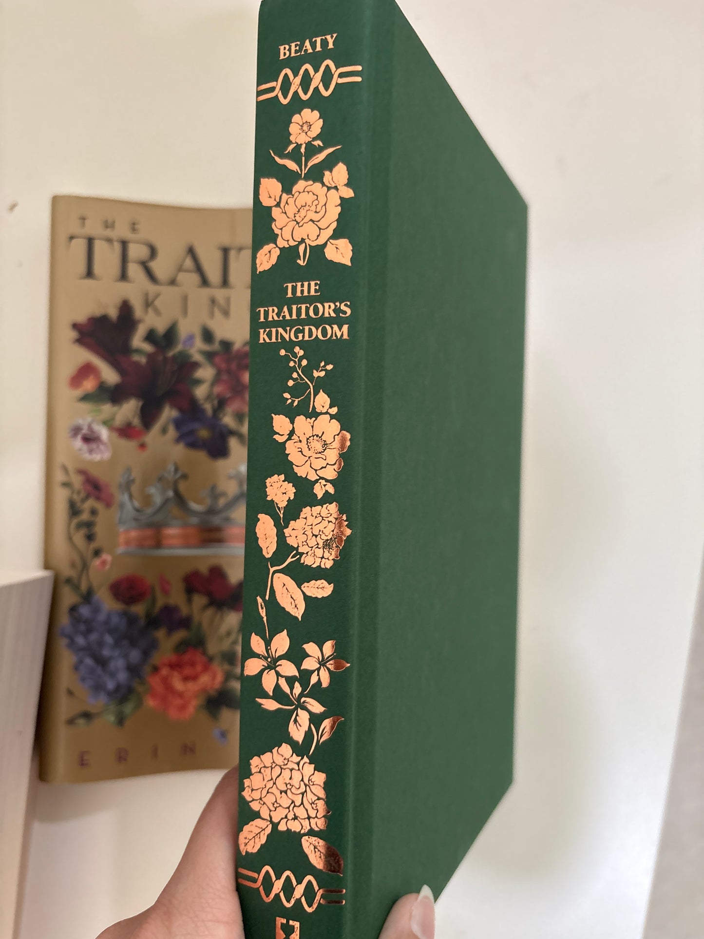 The traitors kingdom by Erin Beaty (Hardcover)