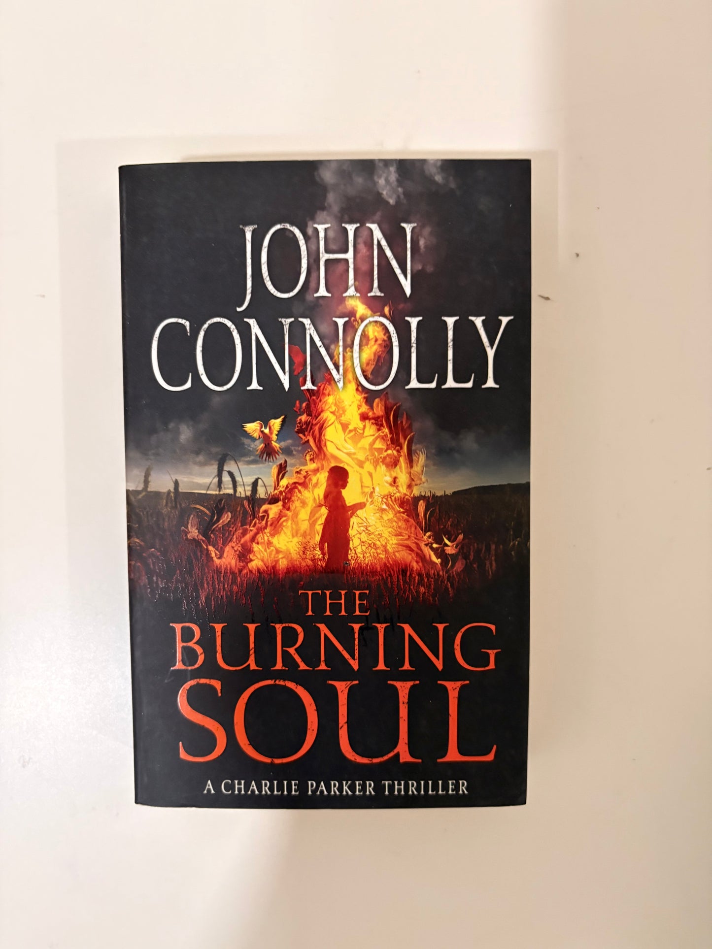 The Burning Soul By John Connolly (Paperback)