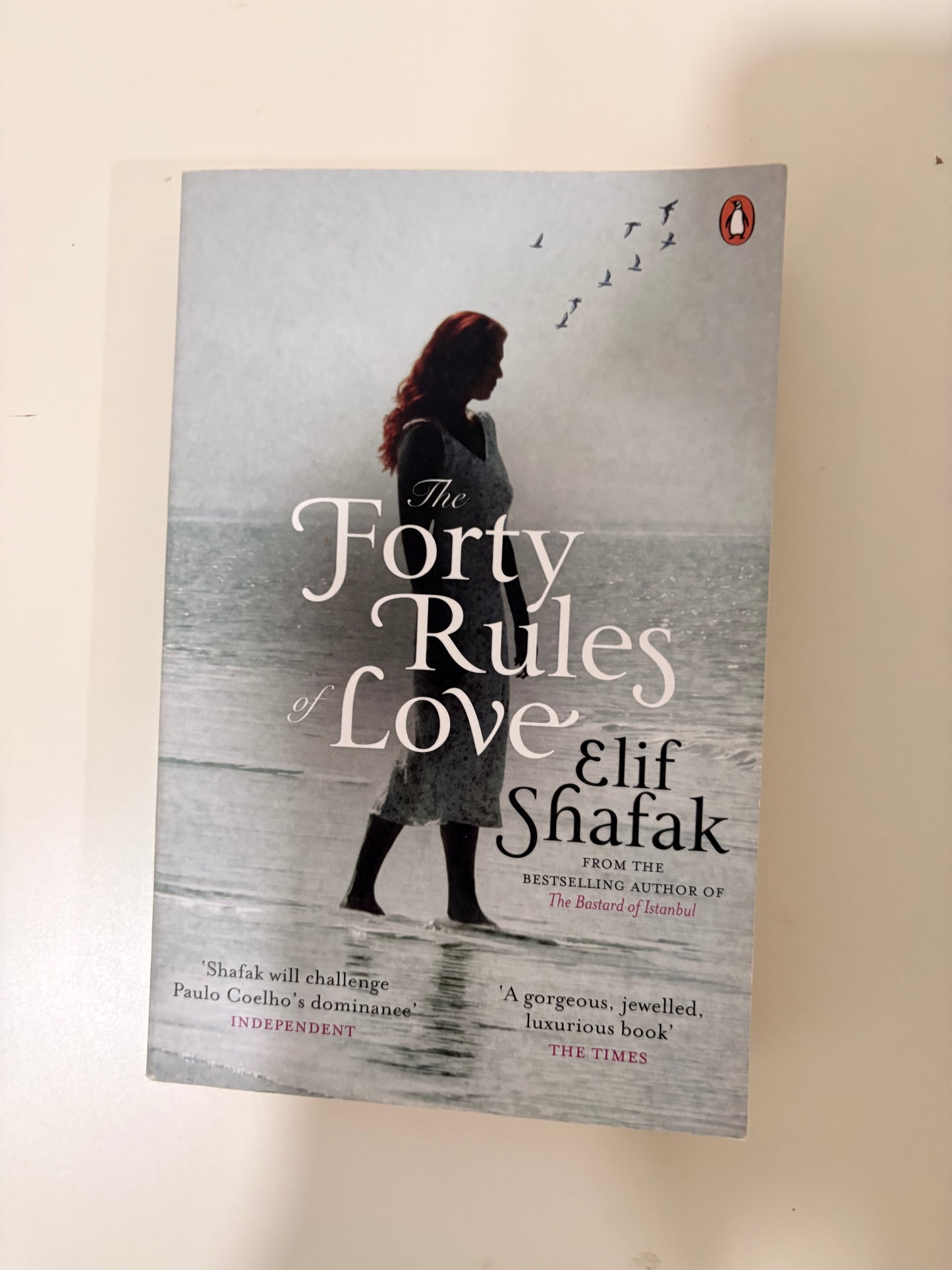 Forty Rules of Love By Elif Shafak