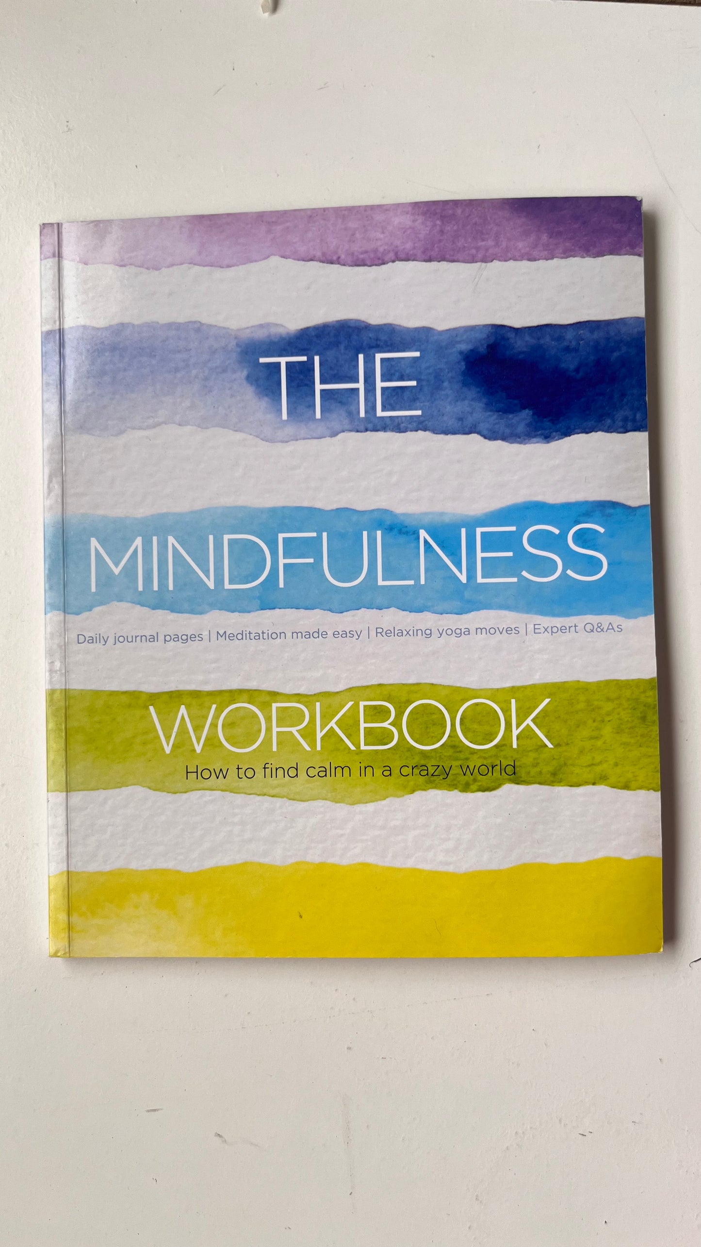 The Mindfulness WorkBook : How to find calm in a crazy world (Paperback)