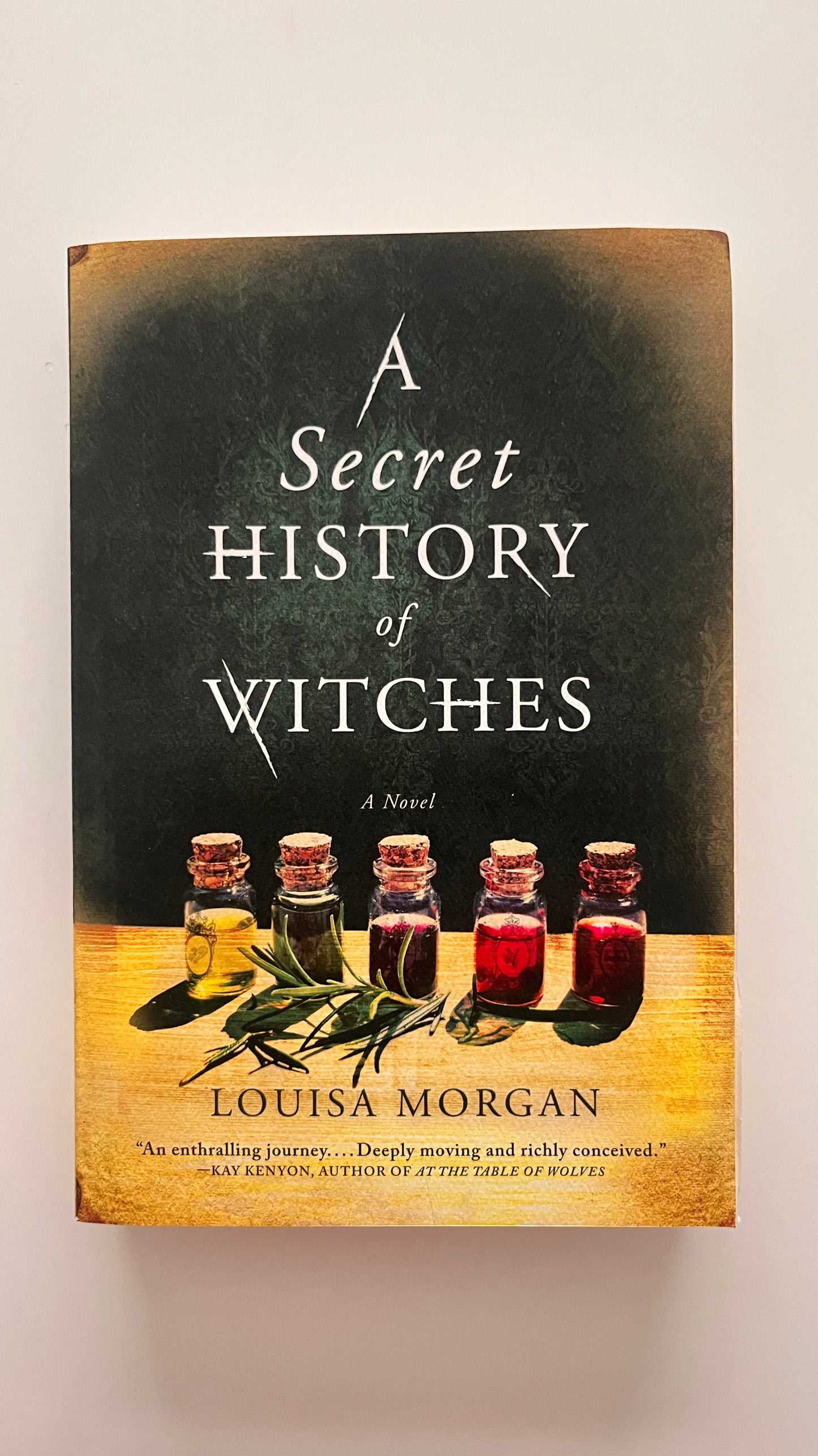 A Secret History of Witches By Louisa Morgan (Paperback)