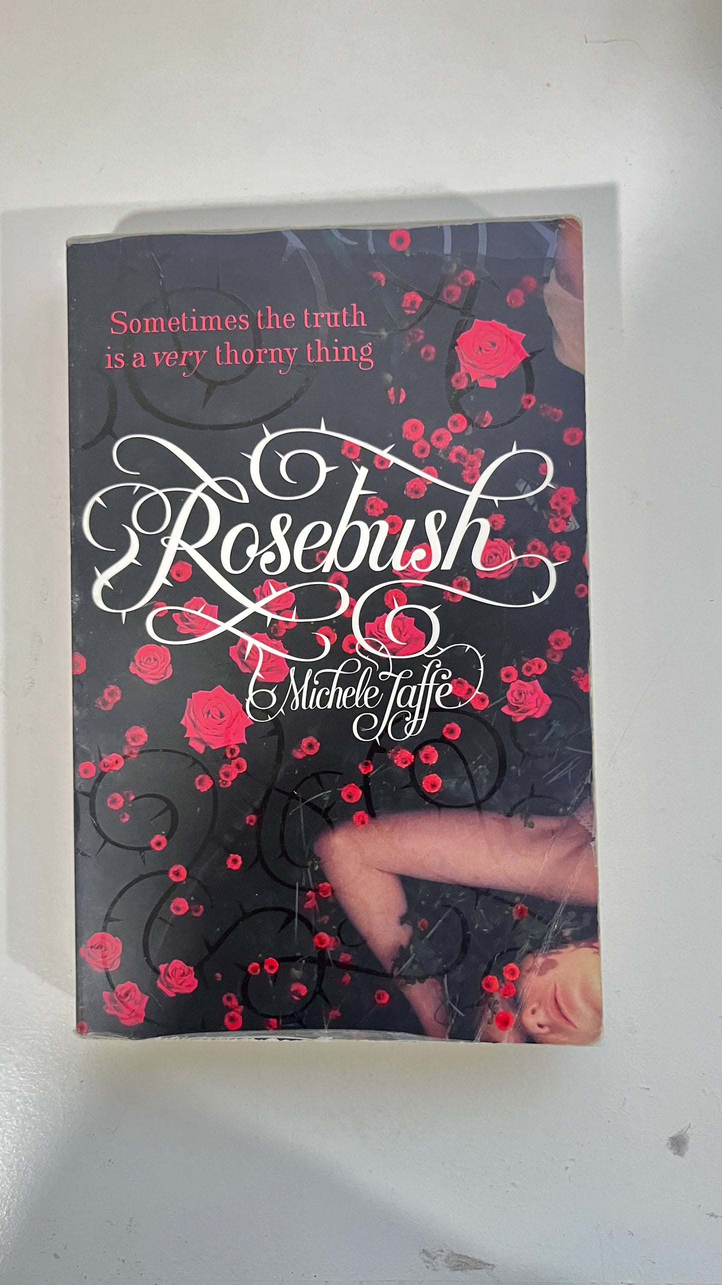 Rosebush by Michele Jaffe (Paperback)