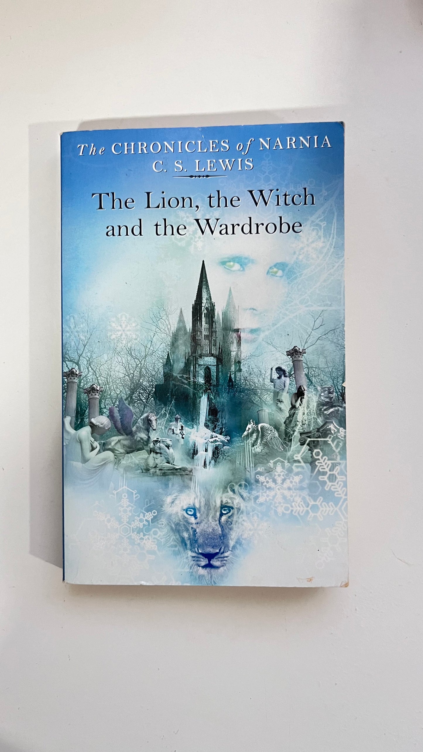 The Lion, The Witch and The Wardrobe by C.S. Lewis (Paperback)