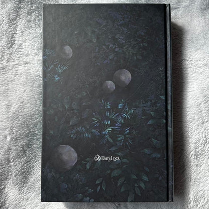 Fairyloot: One Dark Window by Rachel Gillig (Hardcover)