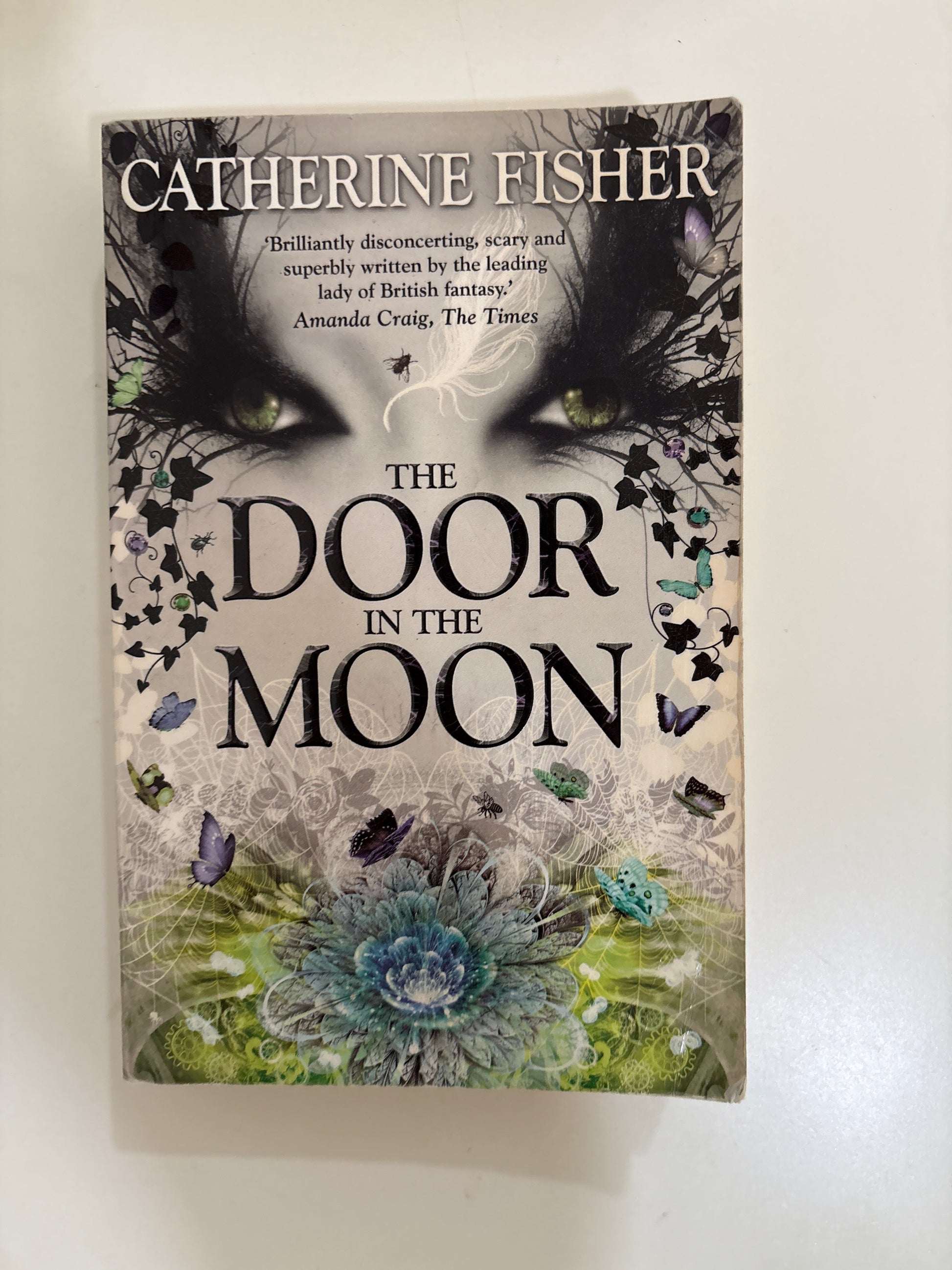 Book titled 'The Door in the Moon' by Catherine Fisher with decorative cover on a white background