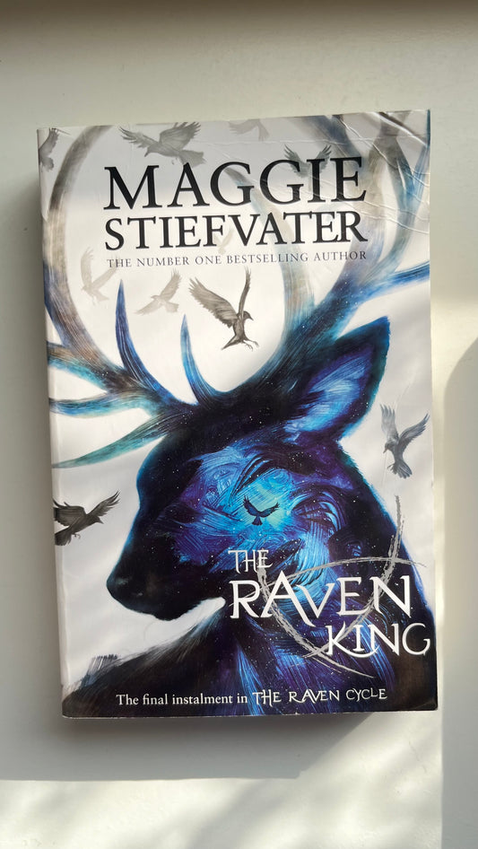 The Raven King – The final book in Maggie Stiefvater’s The Raven Cycle.