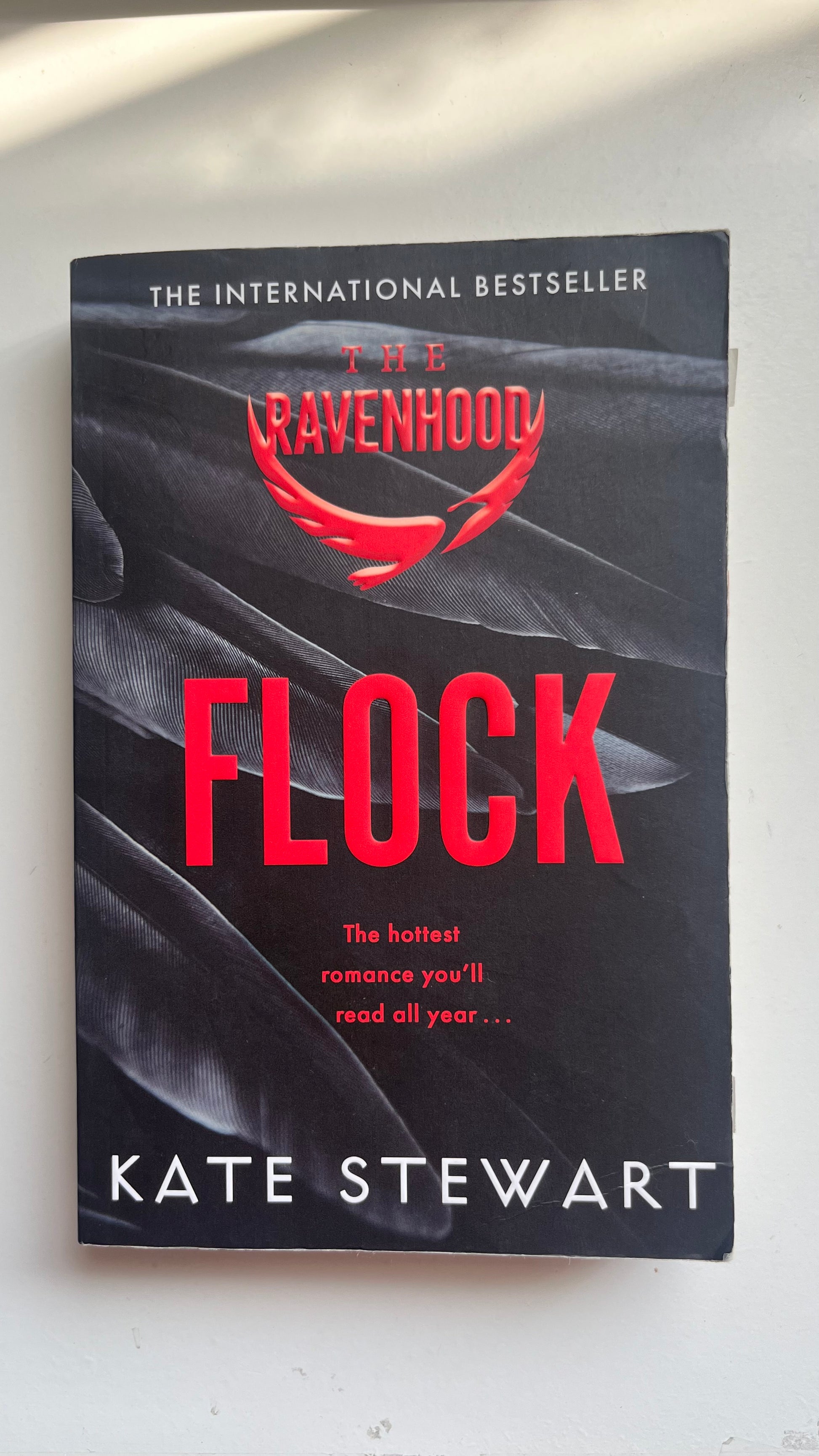 Box set of The Ravenhood Series by Kate Stewart with edgy, moody cover art.

