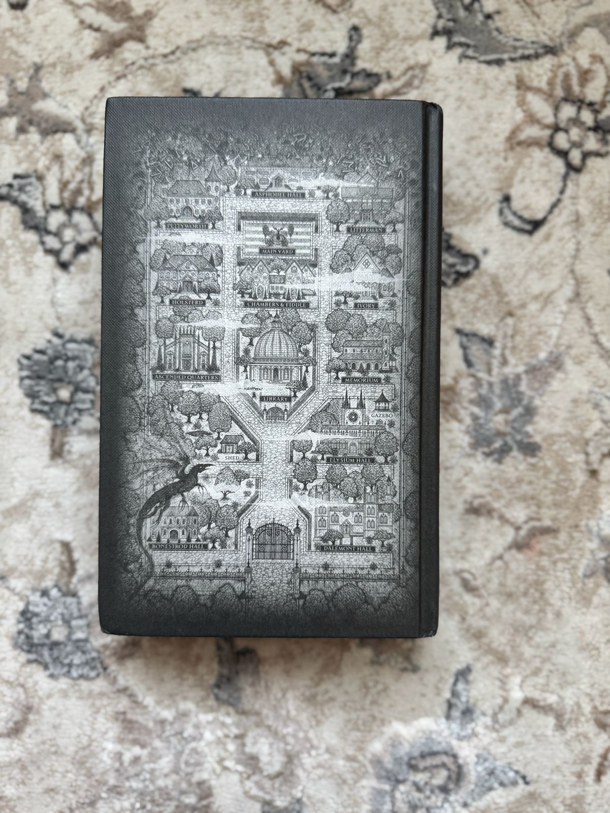 Immortal consequences by L.V. Marie (Hardcover)